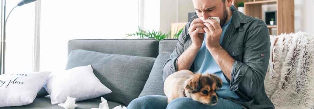 Make the most of allergy blood tests